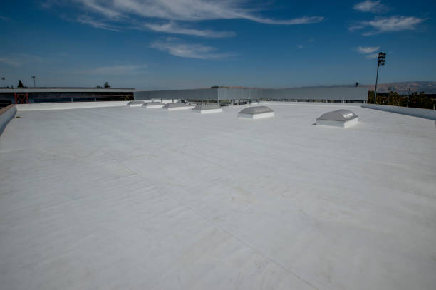 Best Chimney Flashing Repair  in Windy Hills, KY