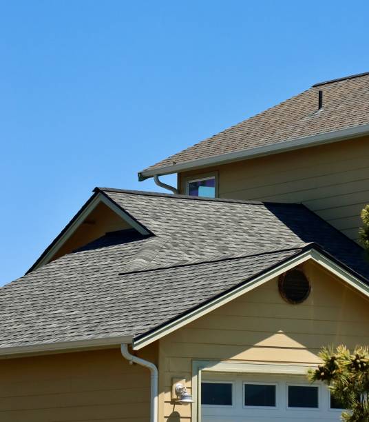 Best Roof Maintenance and Cleaning  in Windy Hills, KY